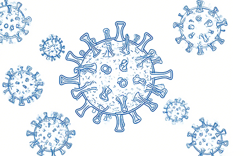 病毒疫苗与载体研发