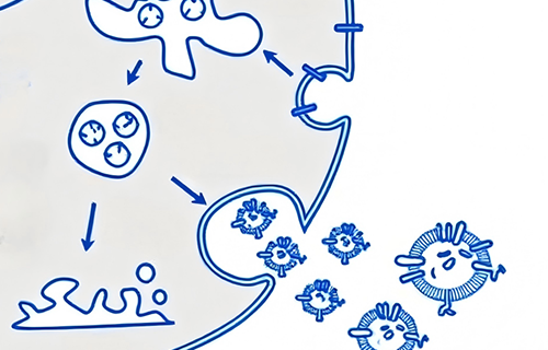 外泌体与纳米颗粒分离